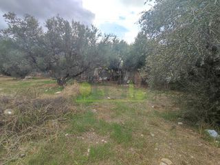 Αγροτεμάχια 1.260 τ.μ. για πώληση, Αχαΐα, Πάτρα-thumb-16