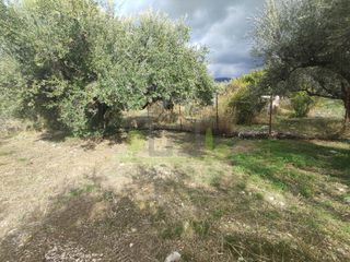 Αγροτεμάχια 1.260 τ.μ. για πώληση, Αχαΐα, Πάτρα-thumb-7