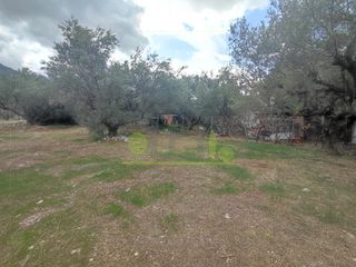 Αγροτεμάχια 1.260 τ.μ. για πώληση, Αχαΐα, Πάτρα-thumb-19