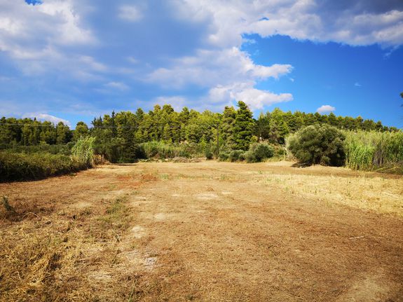 Οικόπεδο 5.181 τ.μ. για πώληση, Ν. Ηλείας, Αρχαία Ολυμπία