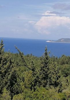 Land plot 3.600sqm for sale-Kefalonia » Erissos