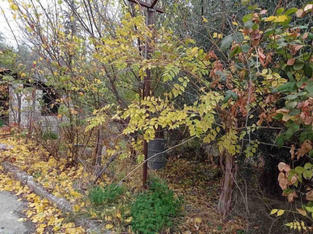 Μονοκατοικία 132 τ.μ. πρός πώληση, Κορινθία, Ξυλόκαστρο