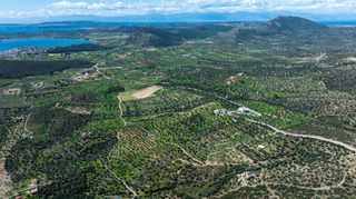 Αγροτεμάχια 2.040 τ.μ. προς πώληση, Τσουκάλια Ερμιόνης-thumb-13