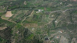 Αγροτεμάχια 2.040 τ.μ. προς πώληση, Τσουκάλια Ερμιόνης-thumb-8