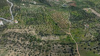 Αγροτεμάχια 2.040 τ.μ. προς πώληση, Τσουκάλια Ερμιόνης-thumb-18
