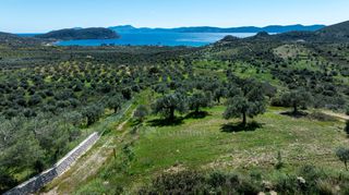Αγροτεμάχια 2.040 τ.μ. προς πώληση, Τσουκάλια Ερμιόνης-thumb-16