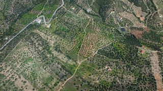 Αγροτεμάχια 2.040 τ.μ. προς πώληση, Τσουκάλια Ερμιόνης-thumb-12