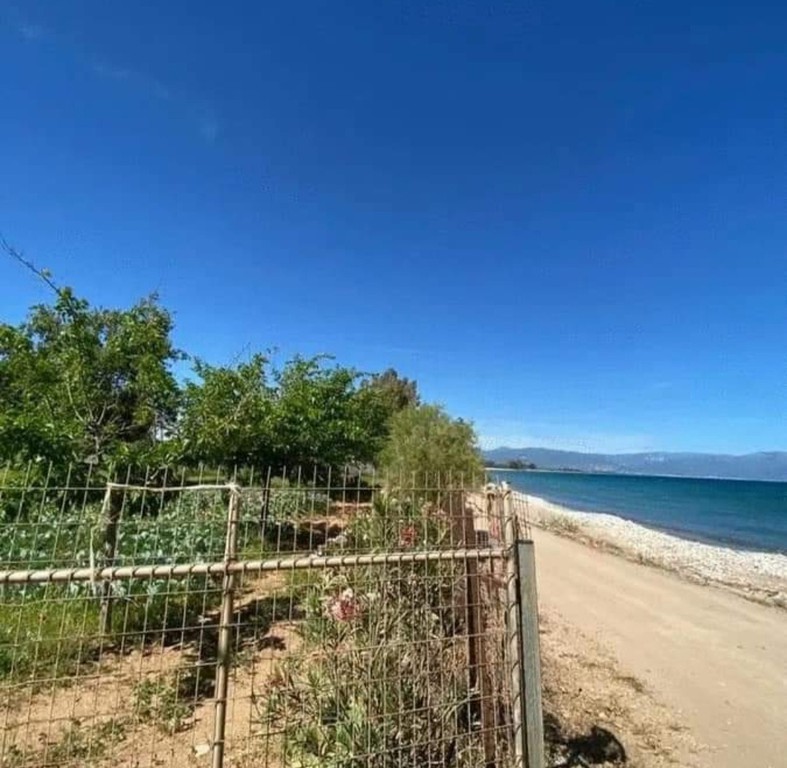 Οικόπεδο 5.375 τ.μ. πρός πώληση, Μεσσηνία, Πεταλίδι