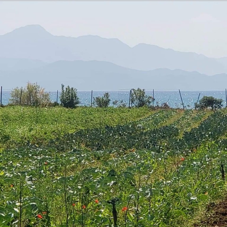 Οικόπεδο 5.375 τ.μ. πρός πώληση, Μεσσηνία, Πεταλίδι