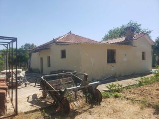 Οικόπεδο 5.375 τ.μ. για πώληση, Μεσσηνία, Πεταλίδι-thumb-16