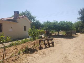 Οικόπεδο 5.375 τ.μ. για πώληση, Μεσσηνία, Πεταλίδι-thumb-17