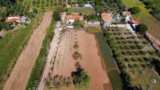 Οικόπεδο 5.375 τ.μ. για πώληση, Μεσσηνία, Πεταλίδι-thumb-25