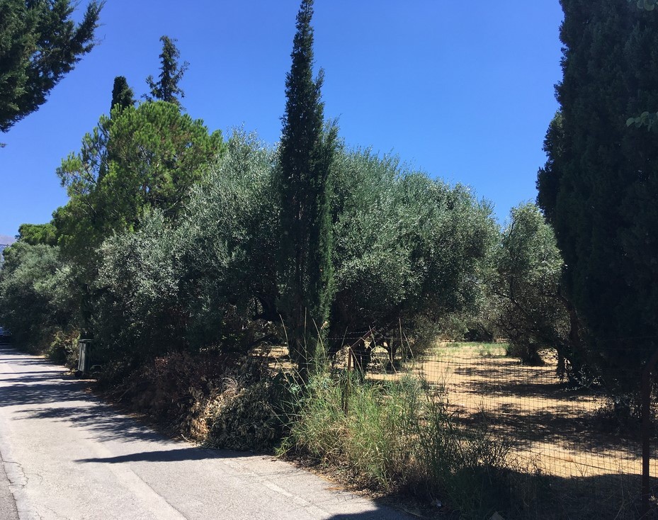 Οικόπεδο 2.485 τ.μ. για πώληση, Αχαΐα, Πάτρα