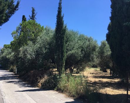 Οικόπεδο 2.485τ.μ. για πώληση-Πάτρα » Καστελλόκαμπος