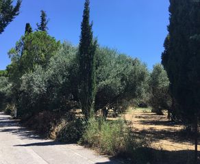 Οικόπεδο 2.485 τ.μ. για πώληση, Αχαΐα, Πάτρα-thumb-2