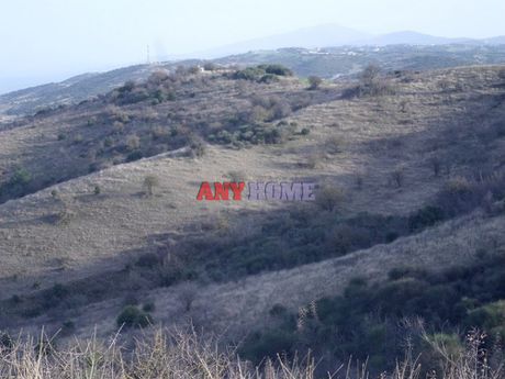 Αγροτεμάχια 60.000 τ.μ. για πώληση