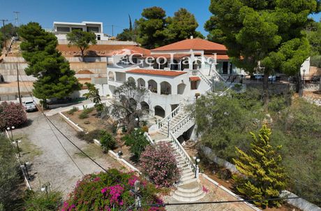 Βίλλα 370τ.μ. για πώληση-Κρανίδι » Χηνίτσα