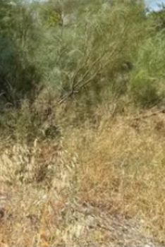 Land plot 327sqm for sale-Alimos » Center