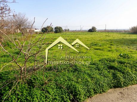 Οικόπεδο 3.270τ.μ. για πώληση-Χίος » Πόλη χίου