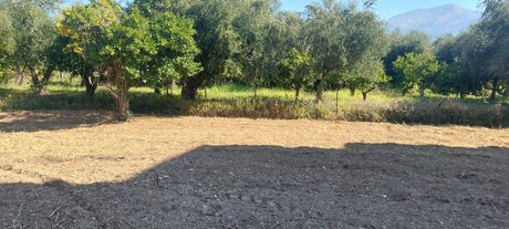 Οικόπεδο 450τ.μ. για πώληση-Πάτρα » Λάγγουρα