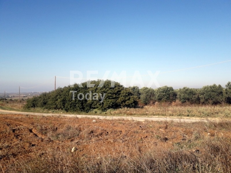 Αγροτεμάχια 6.750 τ.μ. προς πώληση, Καρδιά Θέρμης