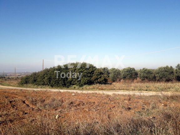 Αγροτεμάχια 6.750 τ.μ. για πώληση, Θεσσαλονίκη - Περιφ/Κοί Δήμοι, Θέρμη
