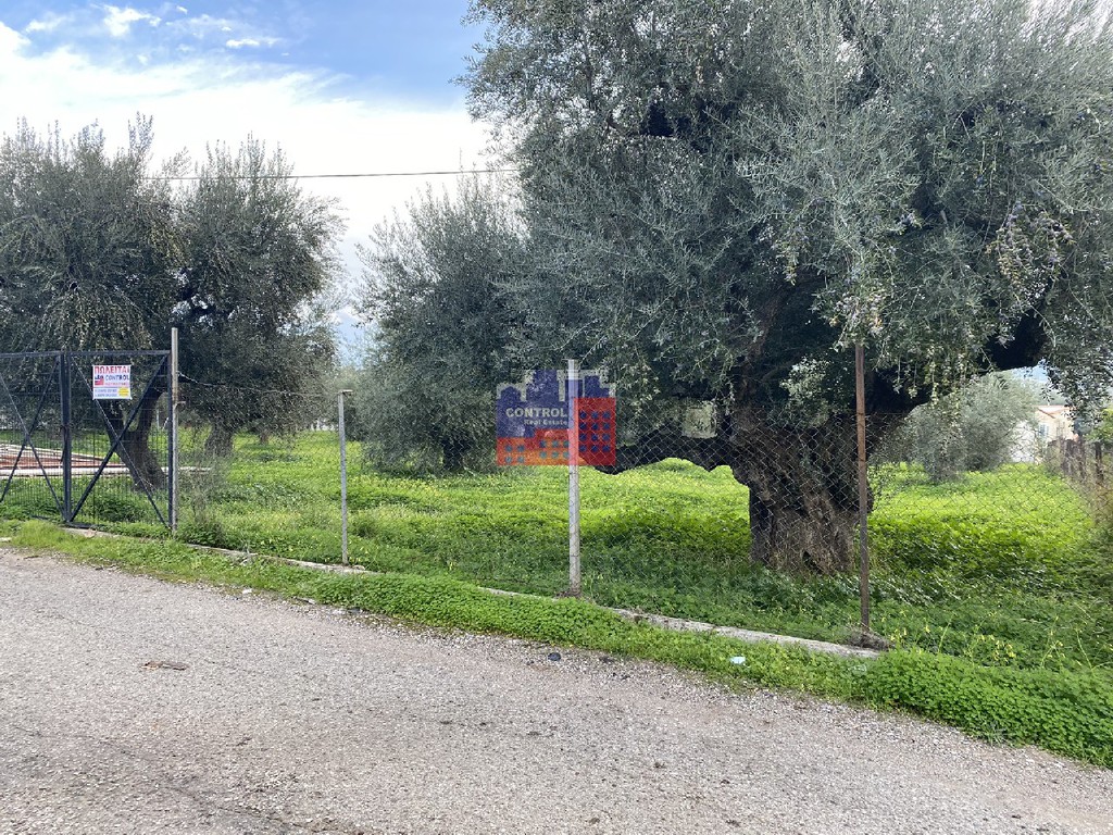 Οικόπεδο 2.860 τ.μ. προς πώληση, Κέντρο Αιγίου