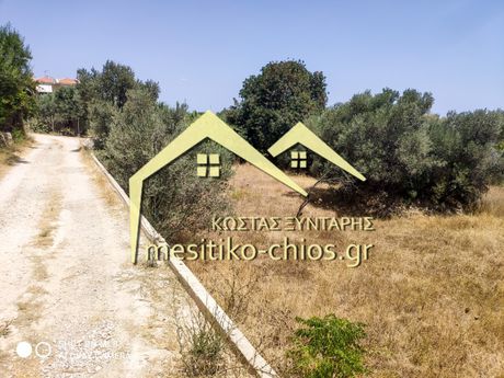 Οικόπεδο 256τ.μ. για πώληση-Χίος » Πόλη χίου
