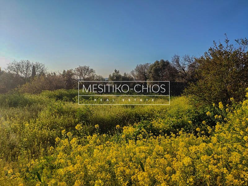 Οικόπεδο 895,08 τ.μ. προς πώληση, Πόλη Χίου