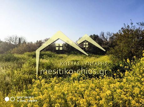 Οικόπεδο 895τ.μ. για πώληση-Χίος » Πόλη χίου