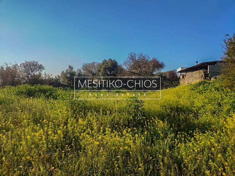 Οικόπεδο 895,08 τ.μ. προς πώληση, Πόλη Χίου