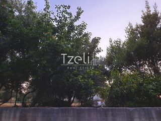 Μονοκατοικία 250 τ.μ. για πώληση, Αχαΐα, Μεσσατίδα-thumb-10