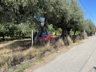Οικόπεδο 1.500 τ.μ. για πώληση