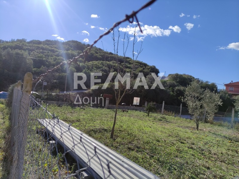 Οικόπεδο 302 τ.μ. πρός πώληση, Μαγνησία, Νέα Αγχίαλος