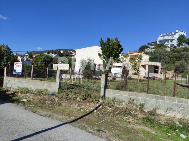 Οικόπεδο 302 τ.μ. πρός πώληση, Μαγνησία, Νέα Αγχίαλος