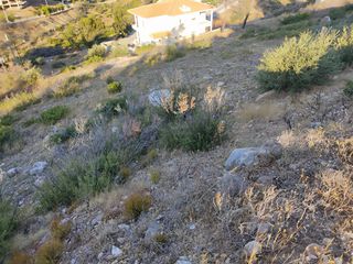 Οικόπεδο 2.133 τ.μ. για πώληση, Αττική - Υπόλοιπο, Πικέρμι-thumb-27