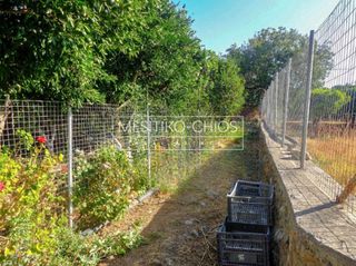 Οικόπεδο 3.285 τ.μ. προς πώληση, Καμποχώρια-thumb-3
