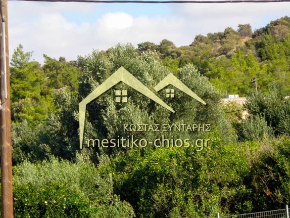 Οικόπεδο 3.285 τ.μ. για πώληση, Ν. Χίου, Χίος