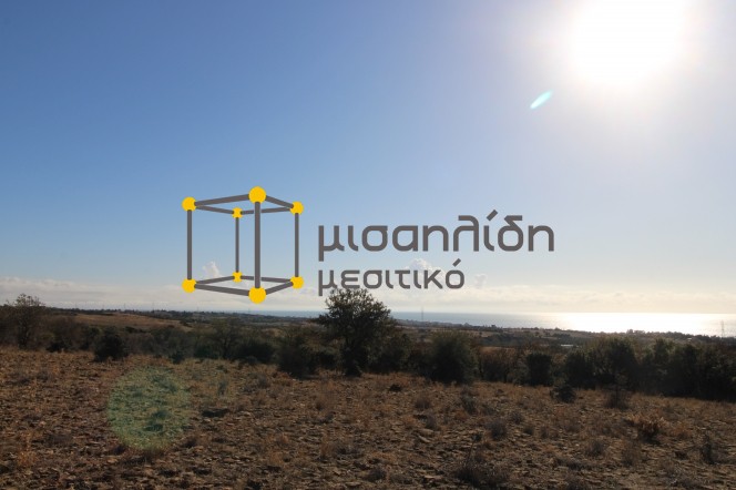 Αγροτεμάχια 10.000 τ.μ. πρός πώληση, Εβρος, Αλεξανδρούπολη