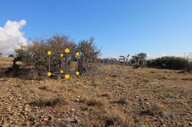 Αγροτεμάχια 10.000 τ.μ. πρός πώληση, Εβρος, Αλεξανδρούπολη