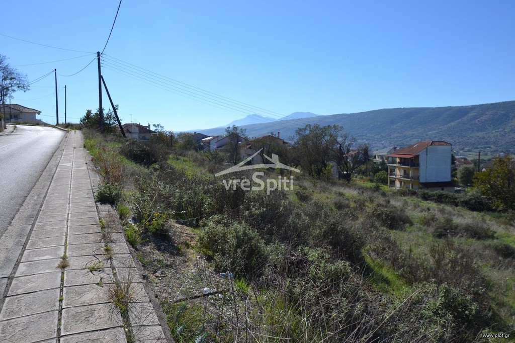 Οικόπεδο 650 τ.μ. προς πώληση, Καρδαμίτσια