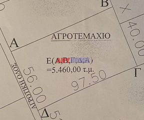Αγροτεμάχια 5.460 τ.μ. για πώληση