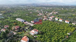 Οικόπεδο 1.800 τ.μ. για πώληση, Αχαΐα, Αίγιο-thumb-6