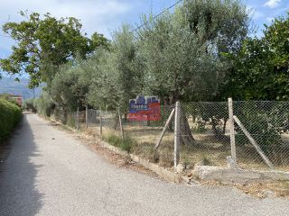 Οικόπεδο 1.800 τ.μ. για πώληση, Αχαΐα, Αίγιο-thumb-8