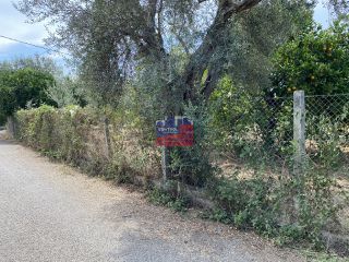 Οικόπεδο 1.800 τ.μ. για πώληση, Αχαΐα, Αίγιο-thumb-12