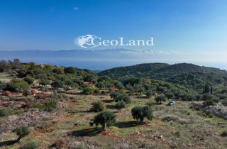 Αγροτεμάχια 17.000 τ.μ. για πώληση