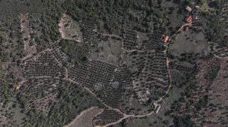 Αγροτεμάχια 5.000 τ.μ. πρός πώληση, Μεσσηνία, Αίπεια-thumb-20