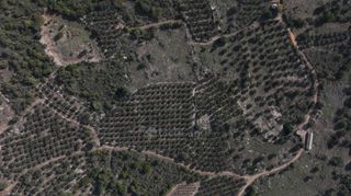 Αγροτεμάχια 5.000 τ.μ. πρός πώληση, Μεσσηνία, Αίπεια-thumb-5