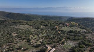 Αγροτεμάχια 5.000 τ.μ. πρός πώληση, Μεσσηνία, Αίπεια-thumb-12
