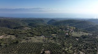 Αγροτεμάχια 5.000 τ.μ. πρός πώληση, Μεσσηνία, Αίπεια-thumb-16